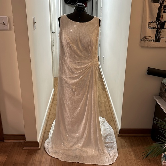 David's Bridal Dresses & Skirts - NWT Davids Bridal beaded gown Flawless zipper triple lined Includes garment bag